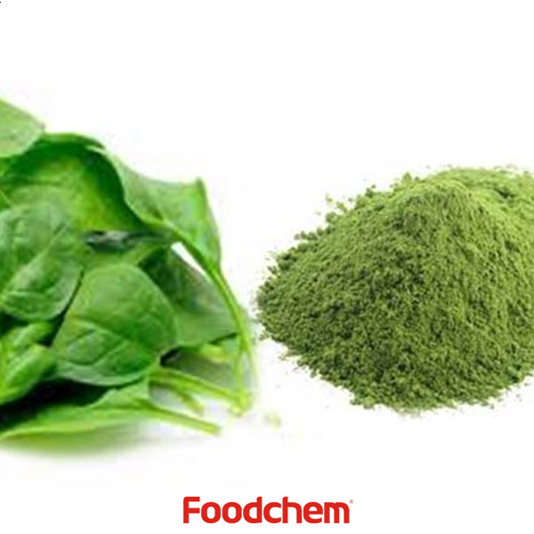 Spinach Powder suppliers
